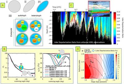 Modeling Atmosphere-Ocean Radiative Transfer: A PACE Mission Perspective